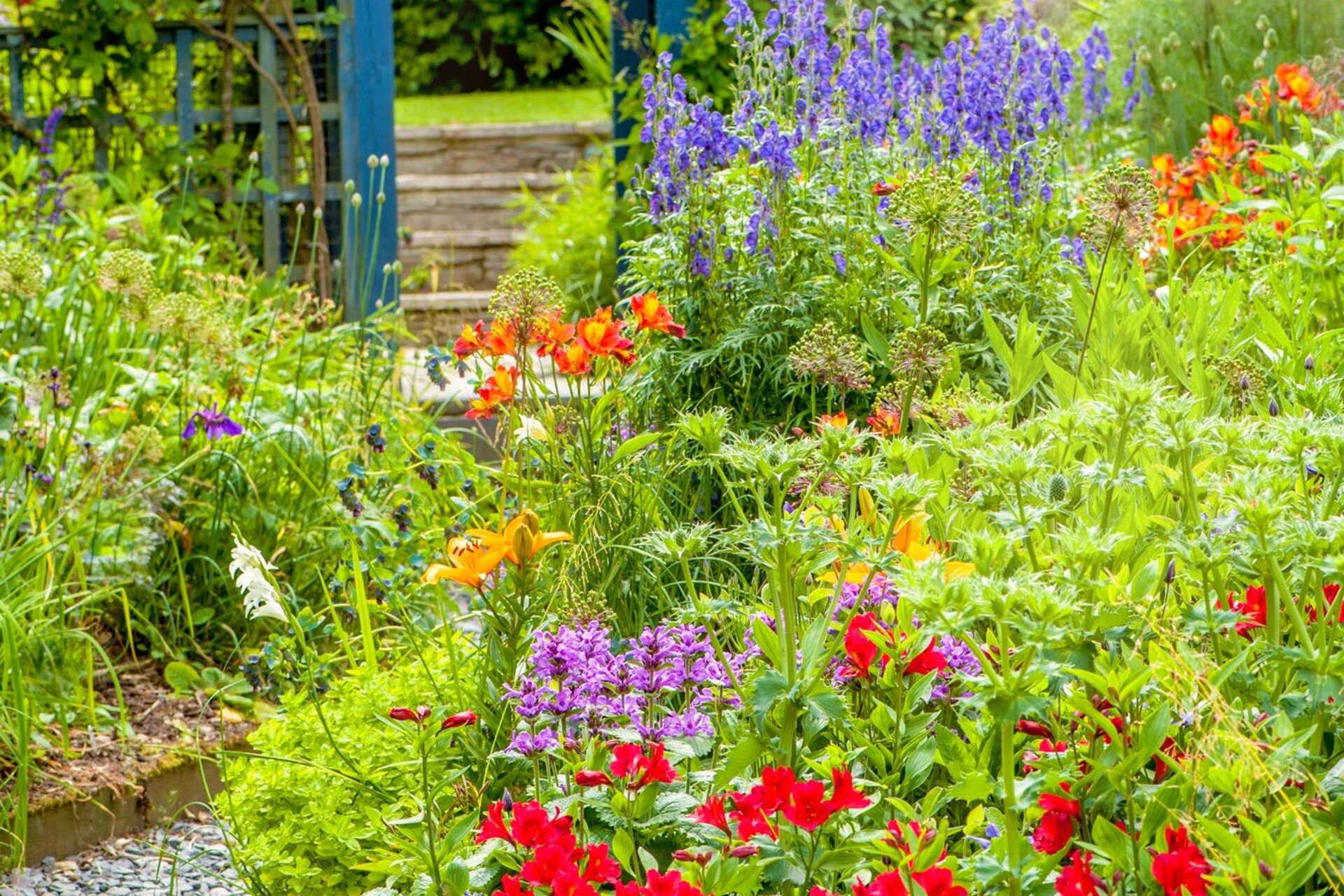 Colourful cottage garden with flowers