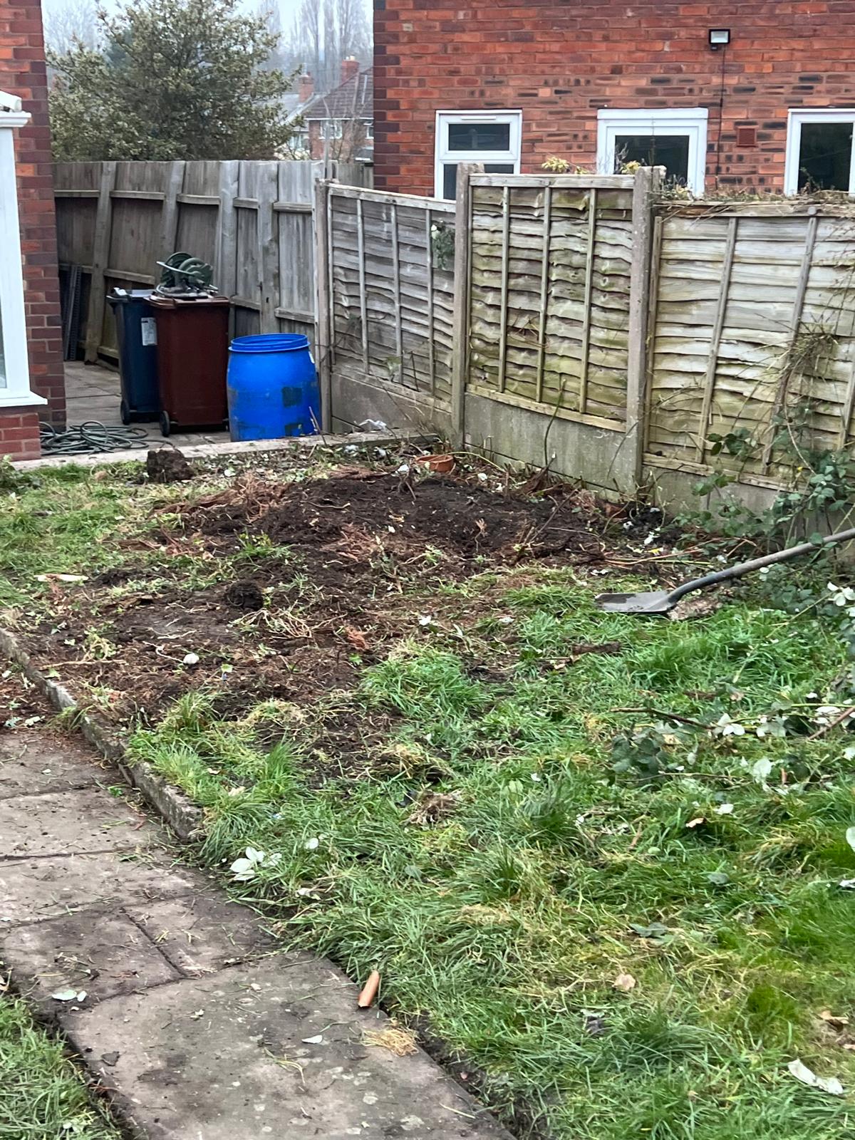 Garden clearance in progress with old fencing and overgrown beds