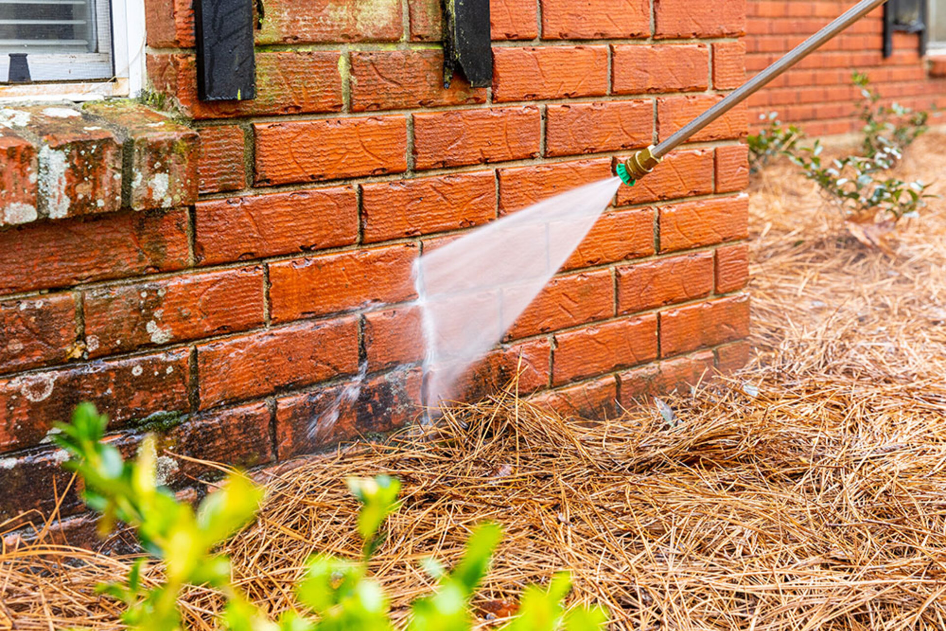 Brick wall pressure washing in garden