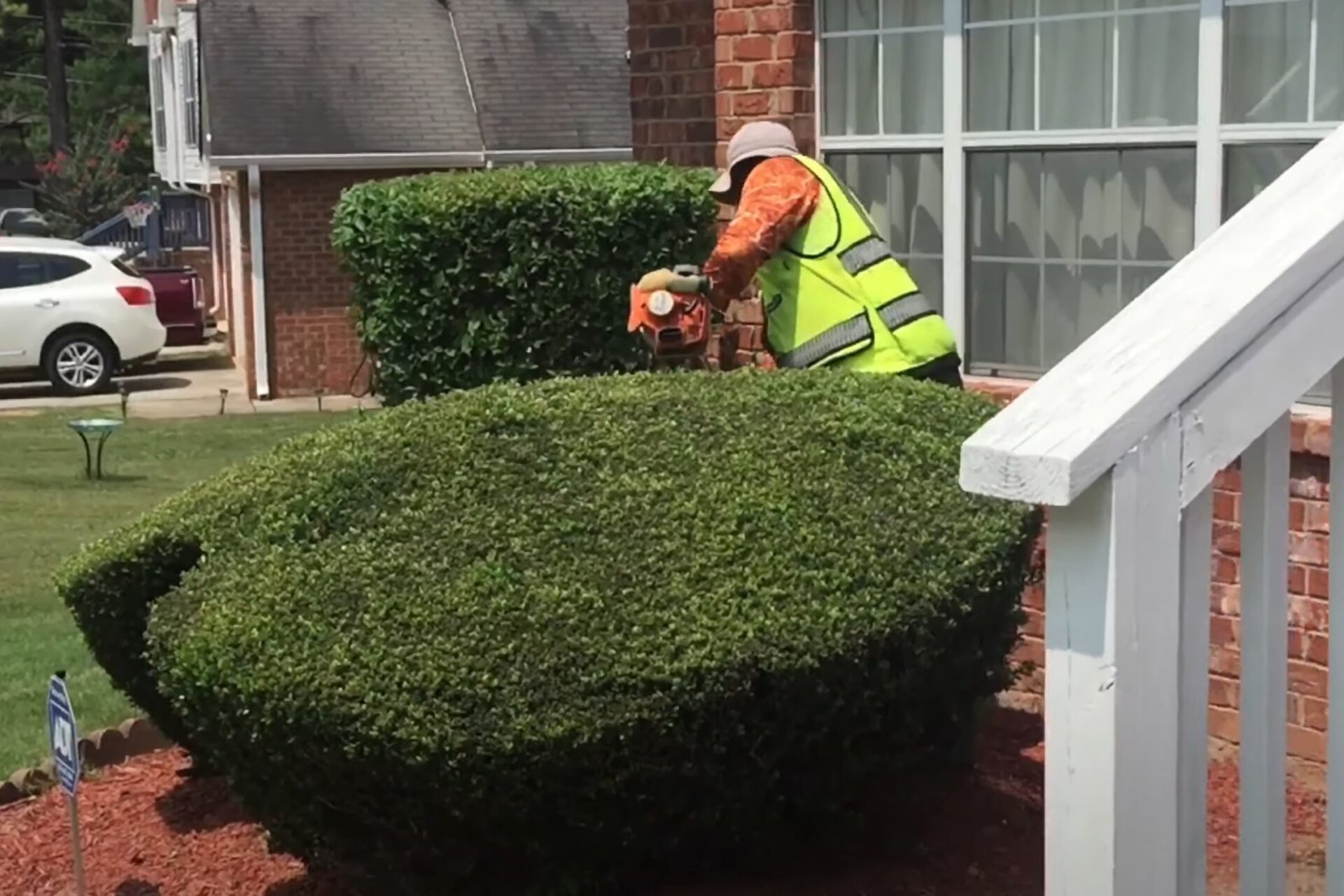 Tree stump removal and hedge trimming